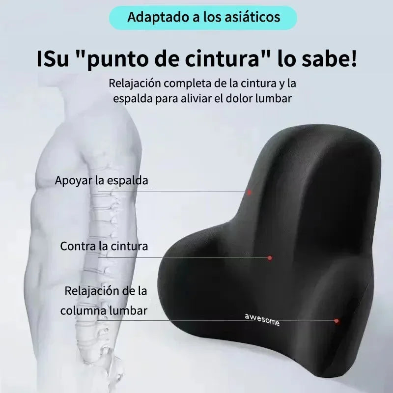 Lumbar Cushion for Back Pain and Posture